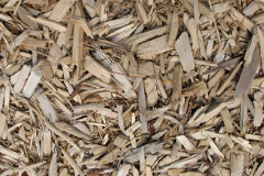 biomass boilers Lymiecleuch